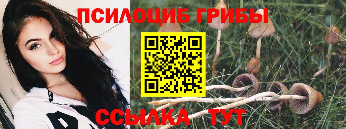 Южноуральск  Галлюциногенные грибы ЛСД  цены наркотик  Вход с VPN  Галлюциногенные грибы мицелий 